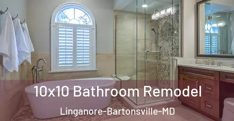 inner Bathroom imggen 10x10 Bathroom Remodel Linganore-Bartonsville-MD