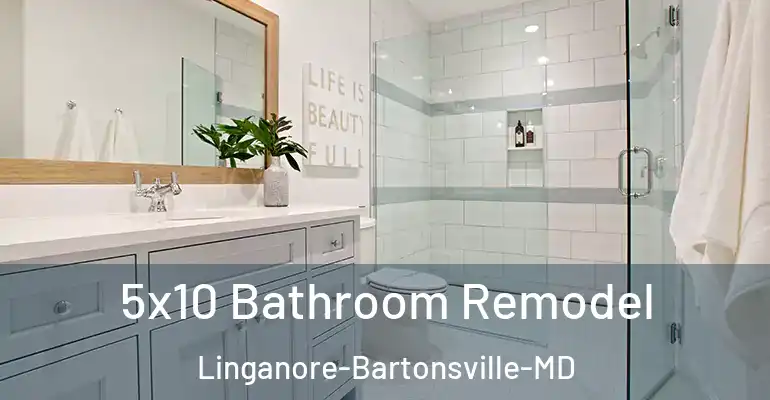 inner Bathroom imggen 5x10 Bathroom Remodel Linganore-Bartonsville-MD