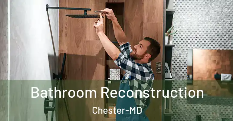 inner Bathroom imggen Bathroom Reconstruction Chester-MD