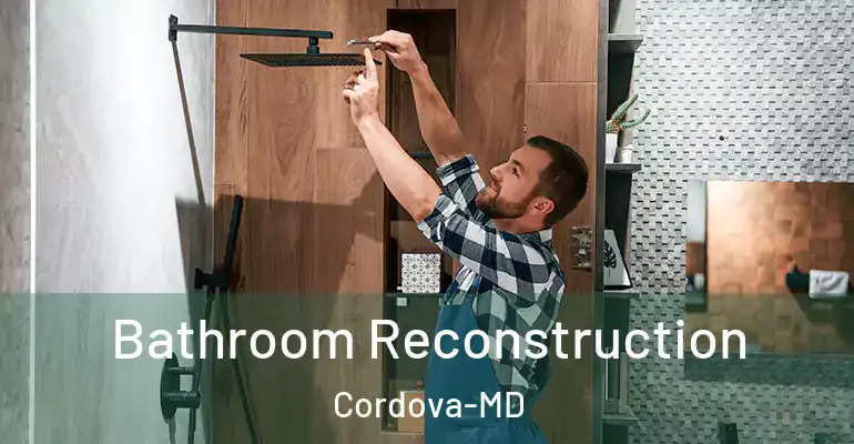inner Bathroom imggen Bathroom Reconstruction Cordova-MD