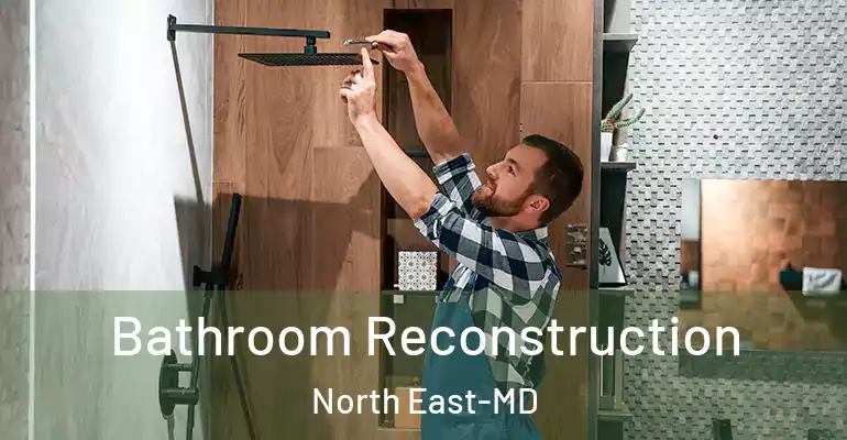 inner Bathroom imggen Bathroom Reconstruction North East-MD