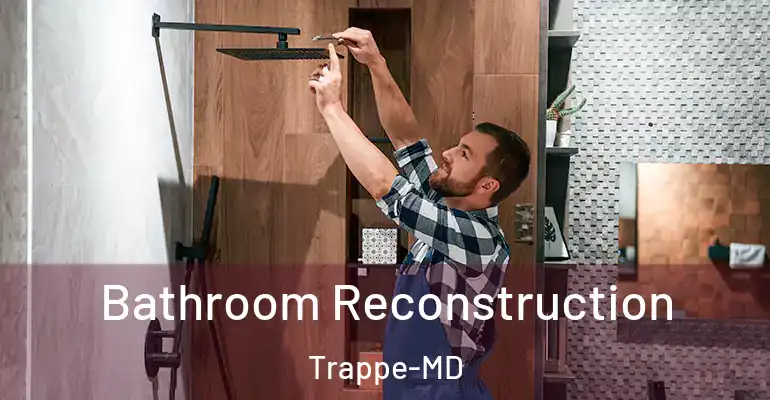 inner Bathroom imggen Bathroom Reconstruction Trappe-MD