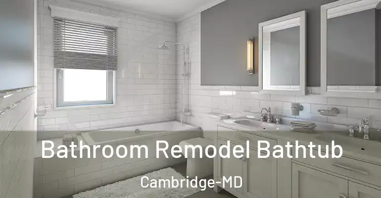 inner Bathroom imggen Bathroom Remodel Bathtub Cambridge-MD