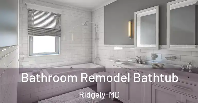 inner Bathroom imggen Bathroom Remodel Bathtub Ridgely-MD