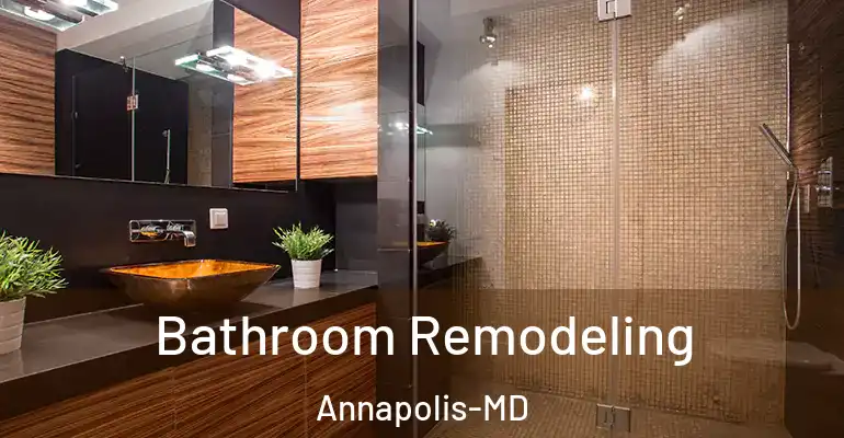 inner Bathroom imggen Bathroom Remodeling Annapolis-MD
