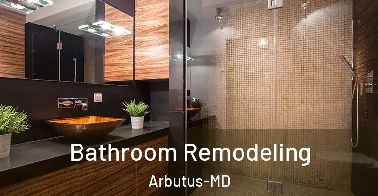 inner Bathroom imggen Bathroom Remodeling Arbutus-MD