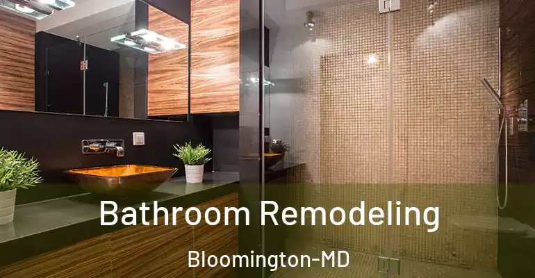 inner Bathroom imggen Bathroom Remodeling Bloomington-MD
