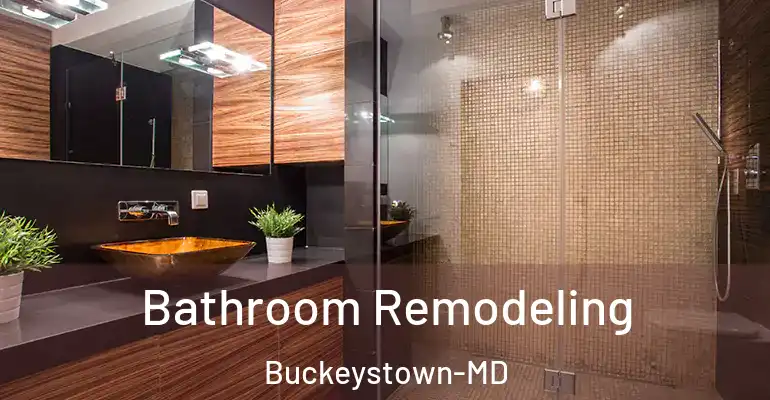 inner Bathroom imggen Bathroom Remodeling Buckeystown-MD