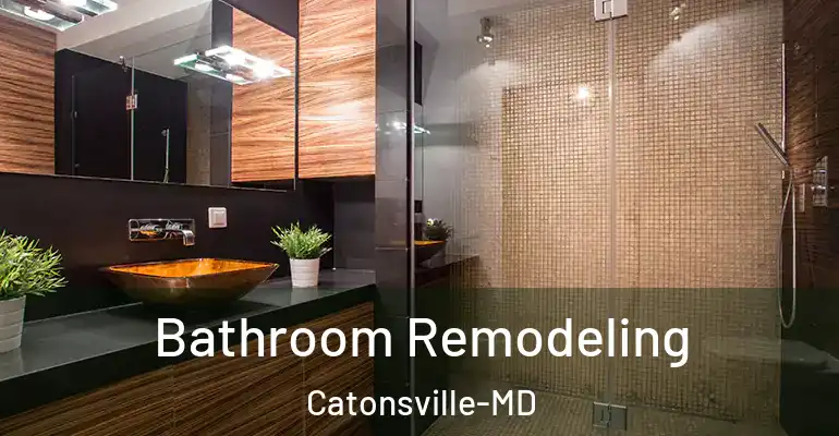 inner Bathroom imggen Bathroom Remodeling Catonsville-MD