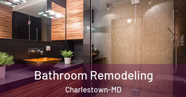 inner Bathroom imggen Bathroom Remodeling Charlestown-MD