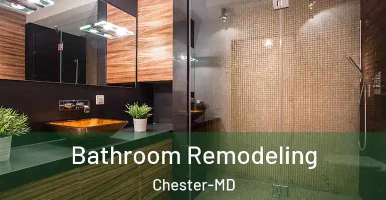 inner Bathroom imggen Bathroom Remodeling Chester-MD