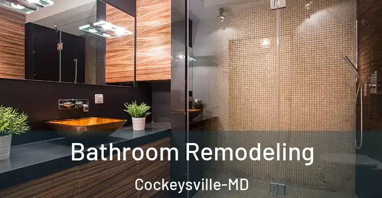 inner Bathroom imggen Bathroom Remodeling Cockeysville-MD