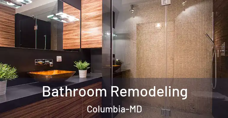 inner Bathroom imggen Bathroom Remodeling Columbia-MD