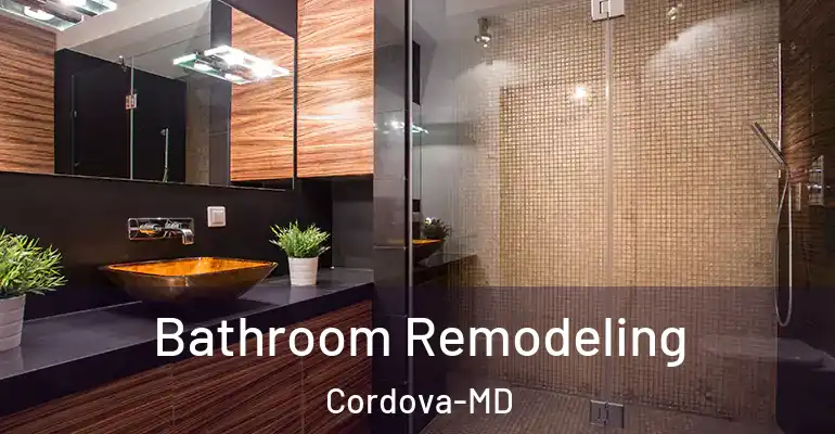 inner Bathroom imggen Bathroom Remodeling Cordova-MD