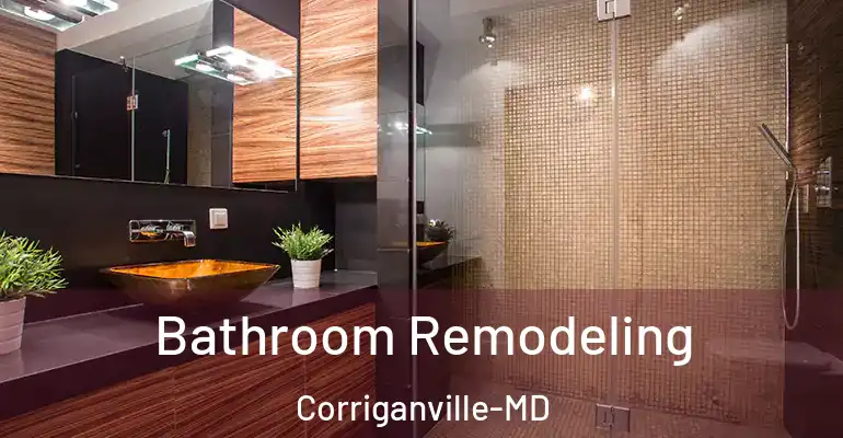 inner Bathroom imggen Bathroom Remodeling Corriganville-MD