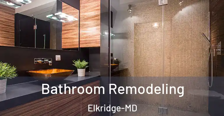 inner Bathroom imggen Bathroom Remodeling Elkridge-MD