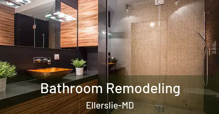 inner Bathroom imggen Bathroom Remodeling Ellerslie-MD