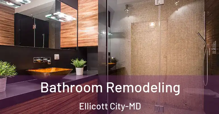 inner Bathroom imggen Bathroom Remodeling Ellicott City-MD