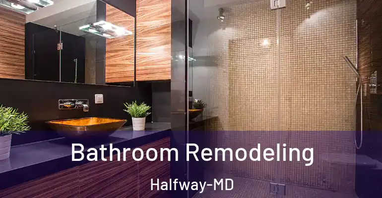 inner Bathroom imggen Bathroom Remodeling Halfway-MD