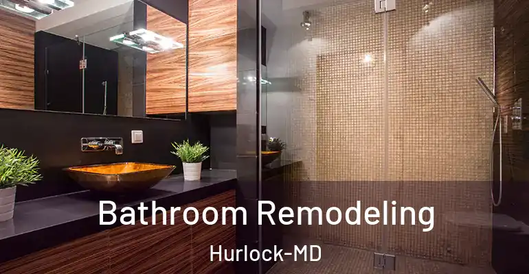 inner Bathroom imggen Bathroom Remodeling Hurlock-MD