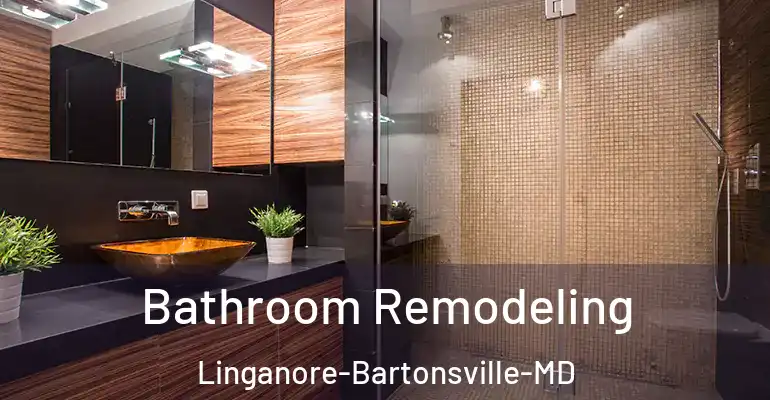 inner Bathroom imggen Bathroom Remodeling Linganore-Bartonsville-MD