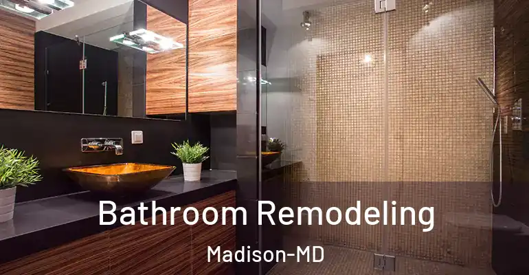 inner Bathroom imggen Bathroom Remodeling Madison-MD