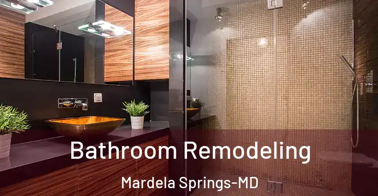 inner Bathroom imggen Bathroom Remodeling Mardela Springs-MD