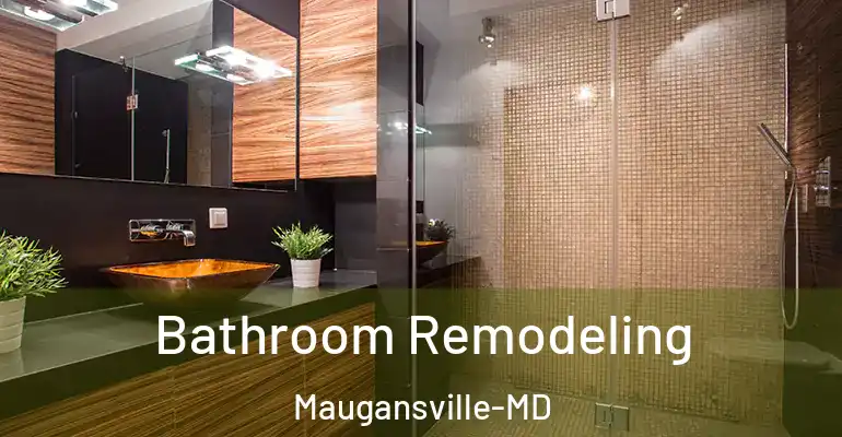 inner Bathroom imggen Bathroom Remodeling Maugansville-MD