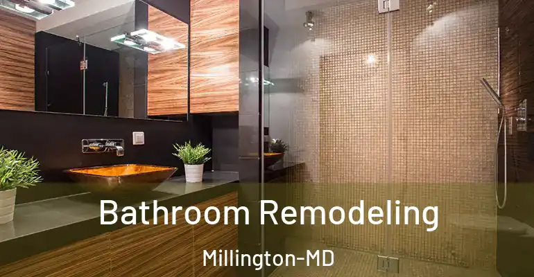 inner Bathroom imggen Bathroom Remodeling Millington-MD