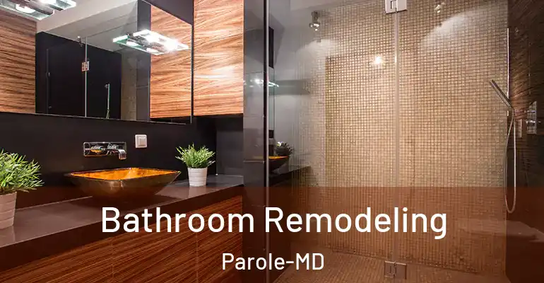 inner Bathroom imggen Bathroom Remodeling Parole-MD