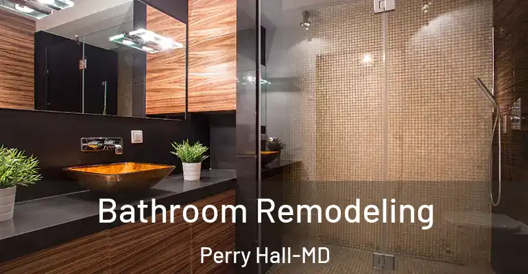 inner Bathroom imggen Bathroom Remodeling Perry Hall-MD