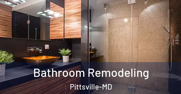 inner Bathroom imggen Bathroom Remodeling Pittsville-MD