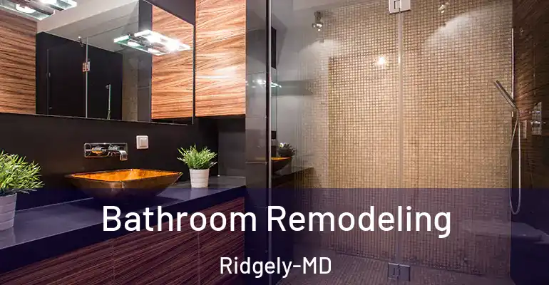 inner Bathroom imggen Bathroom Remodeling Ridgely-MD