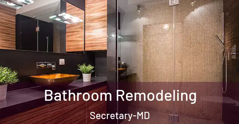 inner Bathroom imggen Bathroom Remodeling Secretary-MD