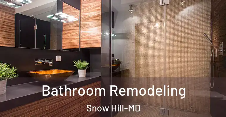 inner Bathroom imggen Bathroom Remodeling Snow Hill-MD