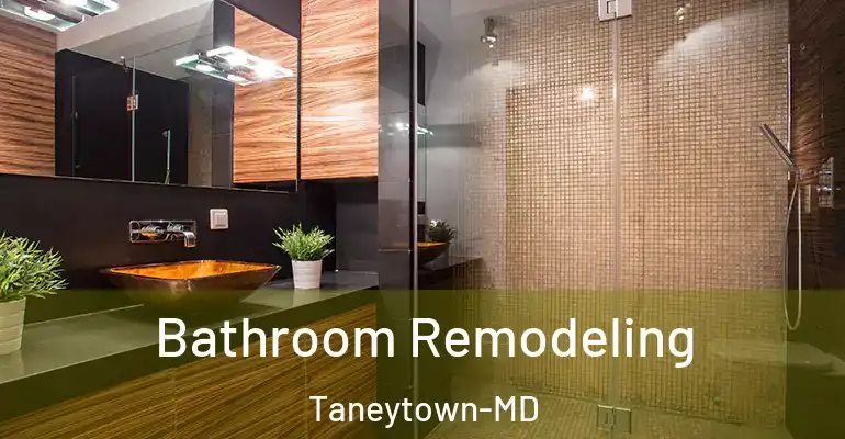 inner Bathroom imggen Bathroom Remodeling Taneytown-MD