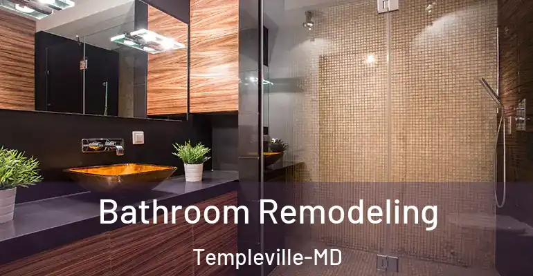 inner Bathroom imggen Bathroom Remodeling Templeville-MD