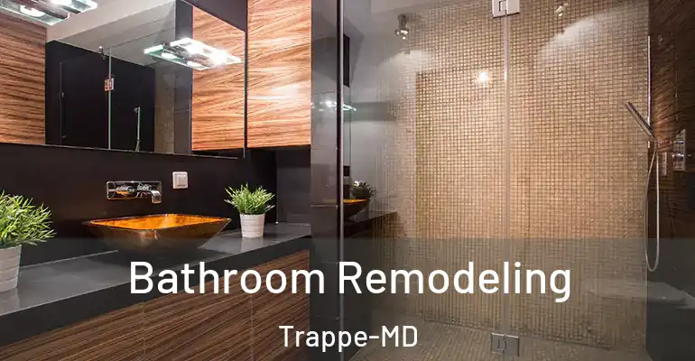 inner Bathroom imggen Bathroom Remodeling Trappe-MD