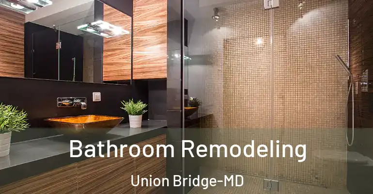 inner Bathroom imggen Bathroom Remodeling Union Bridge-MD