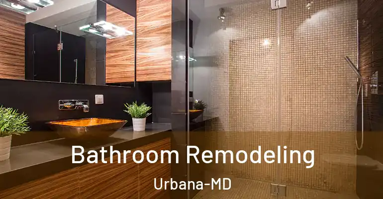 inner Bathroom imggen Bathroom Remodeling Urbana-MD