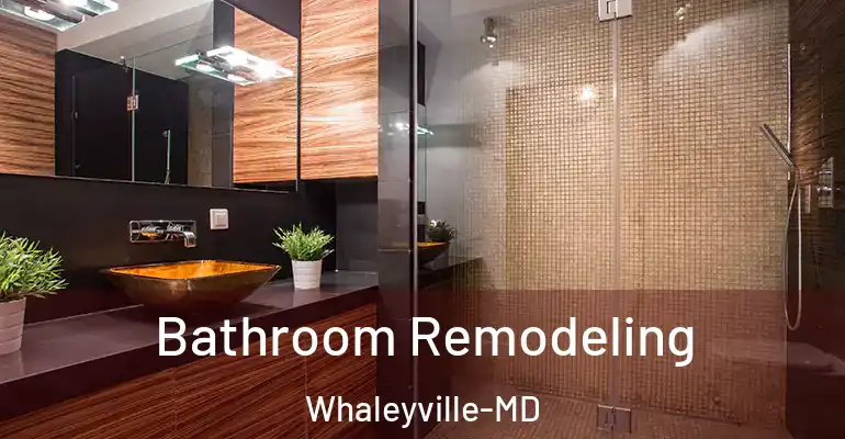 inner Bathroom imggen Bathroom Remodeling Whaleyville-MD