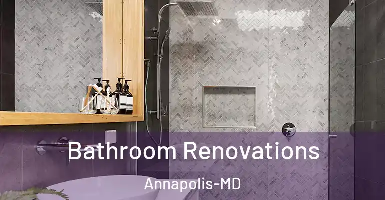 inner Bathroom imggen Bathroom Renovations Annapolis-MD