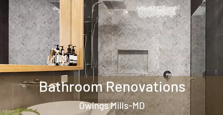 inner Bathroom imggen Bathroom Renovations Owings Mills-MD