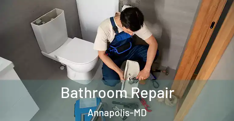 inner Bathroom imggen Bathroom Repair Annapolis-MD