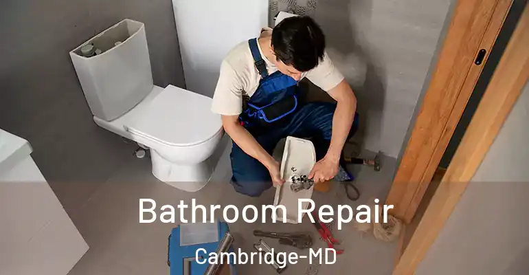 inner Bathroom imggen Bathroom Repair Cambridge-MD