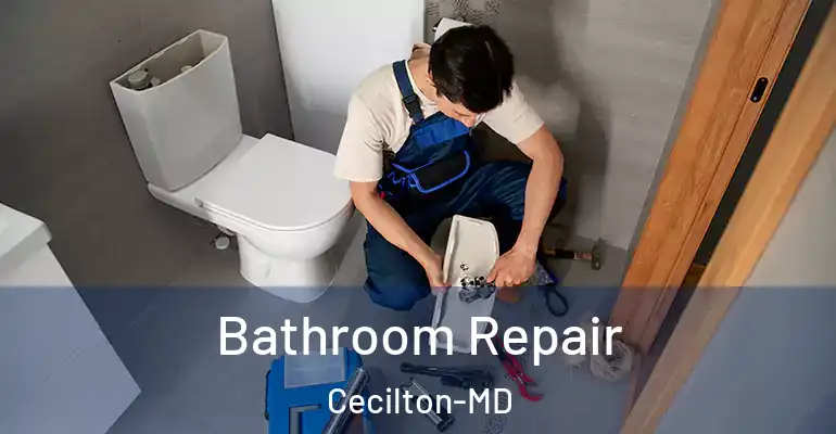 inner Bathroom imggen Bathroom Repair Cecilton-MD