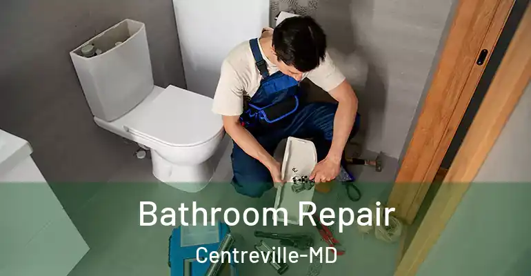 inner Bathroom imggen Bathroom Repair Centreville-MD