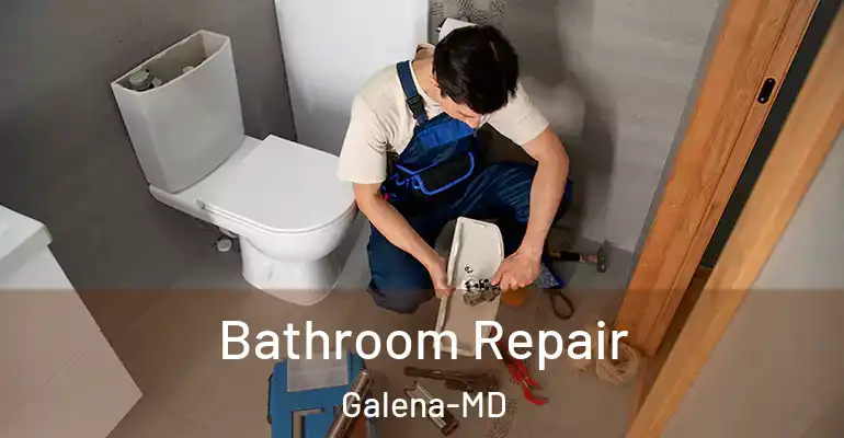 inner Bathroom imggen Bathroom Repair Galena-MD