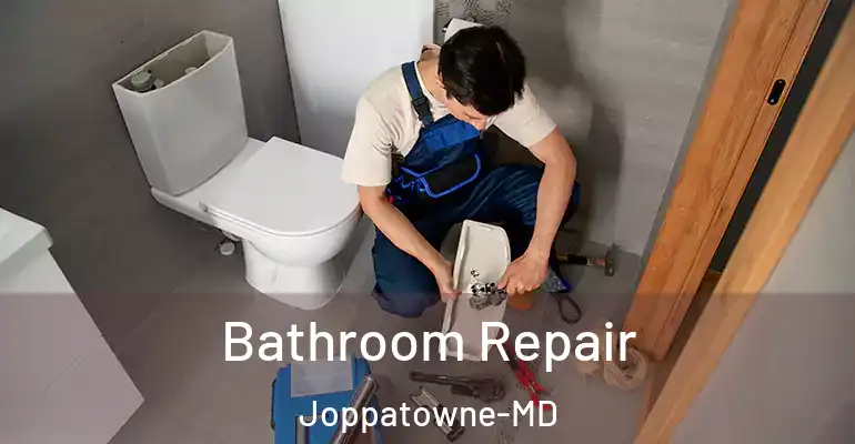 inner Bathroom imggen Bathroom Repair Joppatowne-MD