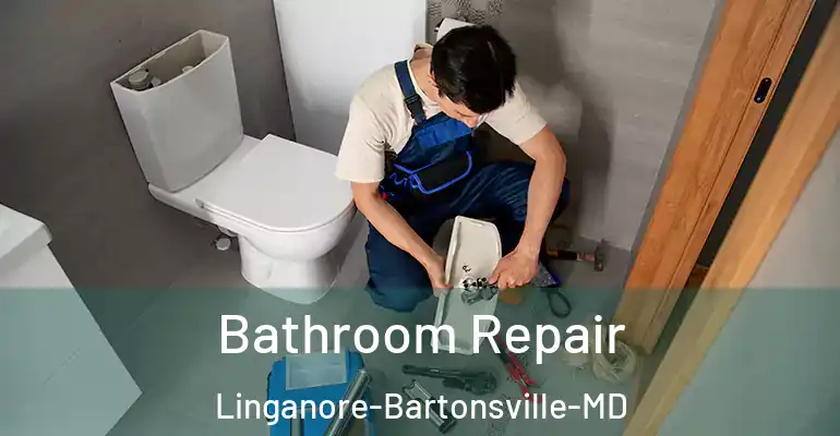 inner Bathroom imggen Bathroom Repair Linganore-Bartonsville-MD